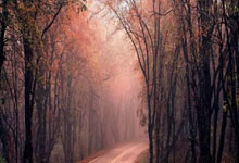 欧博官网：队报专访奥利塞：“永远保持真诚”——伦敦男孩的法国心.