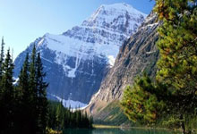 欧博官网：[CBA]豪取总决赛12连胜 辽宁本钢连续第三年夺冠.