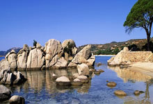 科纳特谈决赛失利：对于结果我们都很失望，我们会重振旗鼓.